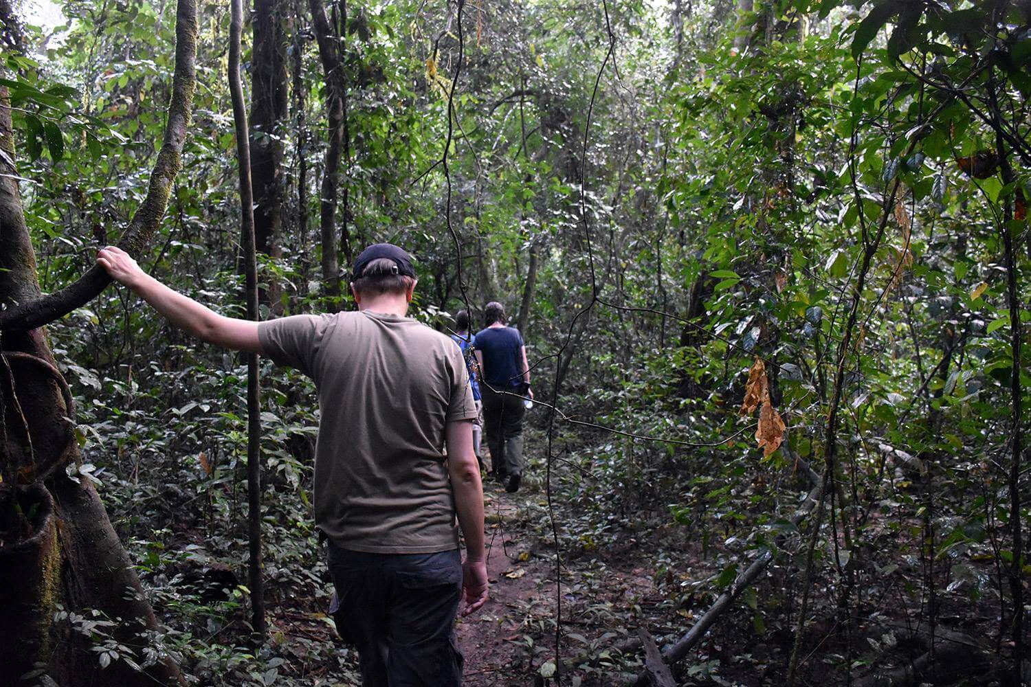 Sierra Leone/Liberia – LUPINE TRAVEL