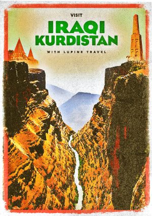Lupine Iraqi Kurdistan A3 Print