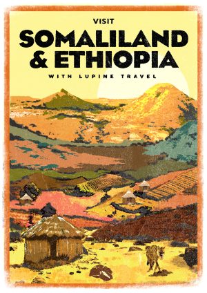 Lupine Ethiopia & Somaliland A3 Print