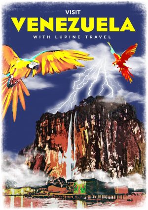 Lupine Venezuela A3 Print