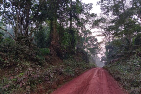 Cameroon & C.A.R Tour