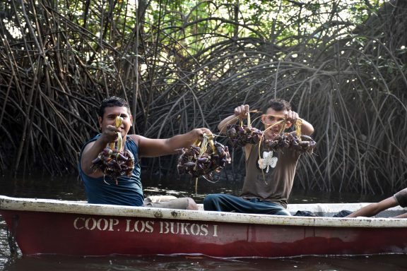 Central America – El Salvador, Honduras & Guatemala