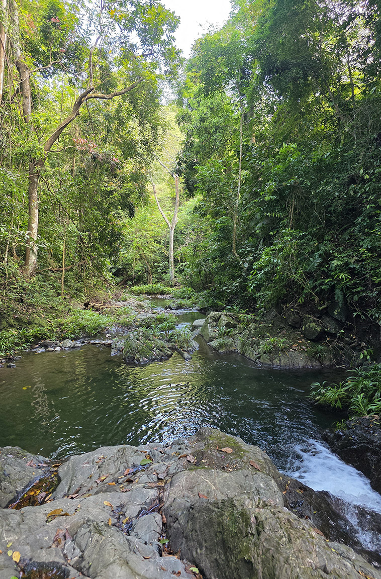 Darien Gap