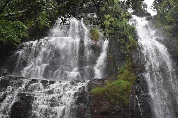 Burundi, Rwanda & D.R.C Tour