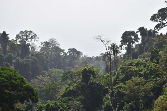 Equatorial Guinea Tour