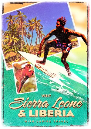 Lupine Sierra Leone A3 Print