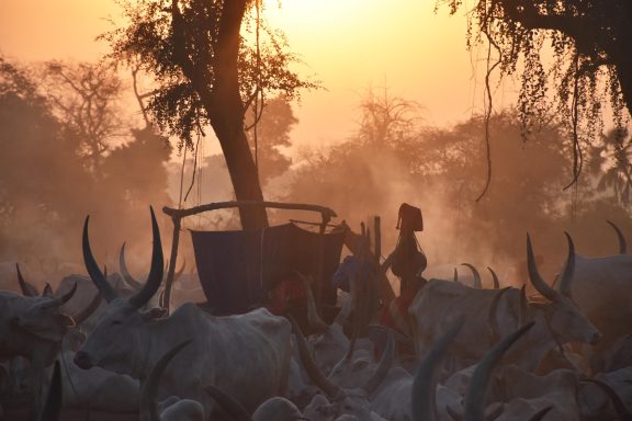 South Sudan Highlights Tour