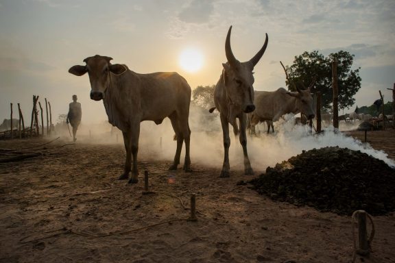 South Sudan Highlights Tour