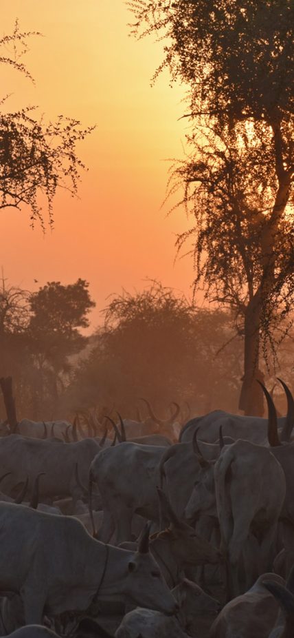 south-sudan-new-header